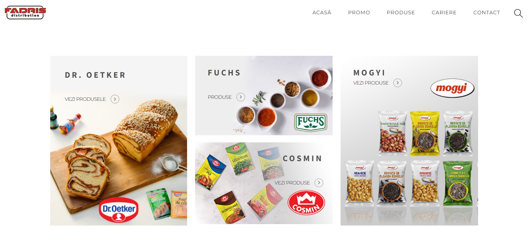 Website magazin online